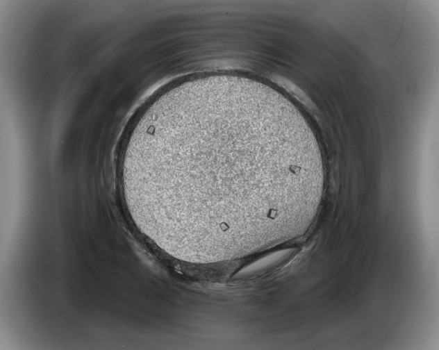 X0000083551031200703091550