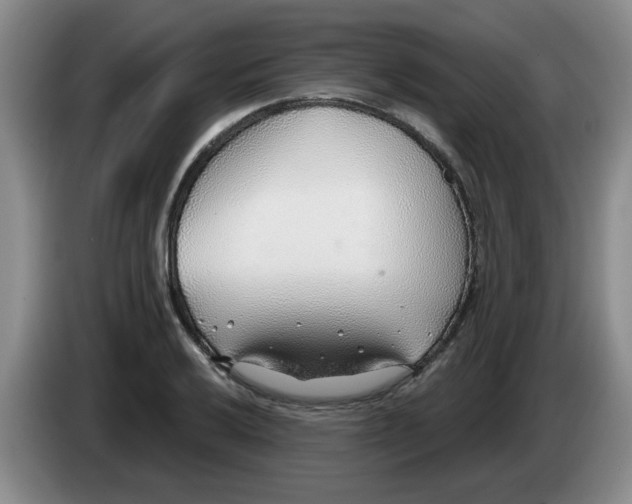X0000083551032200703091550