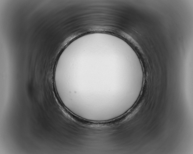 X0000083551033200703091550