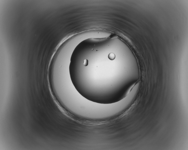 X0000083551034200703091550