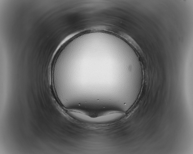 X0000083551036200703091550