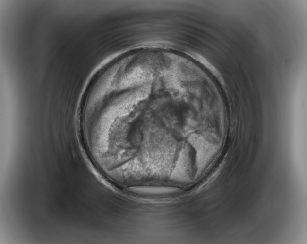 X0000083551037200703091550
