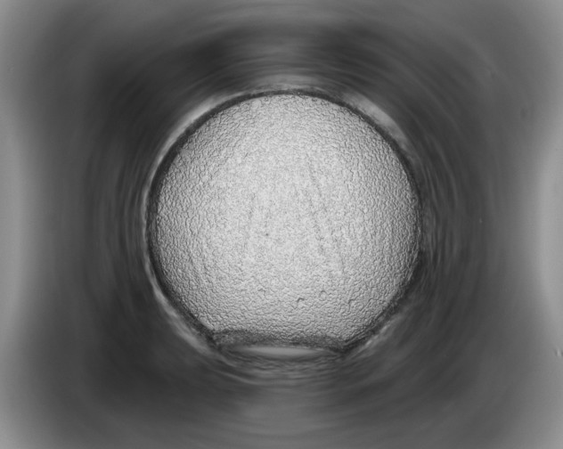 X0000083551039200703091550