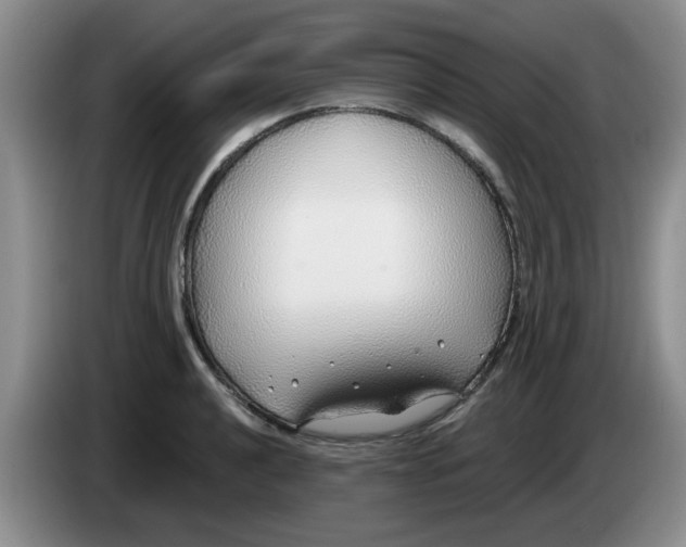 X0000083551040200703091550