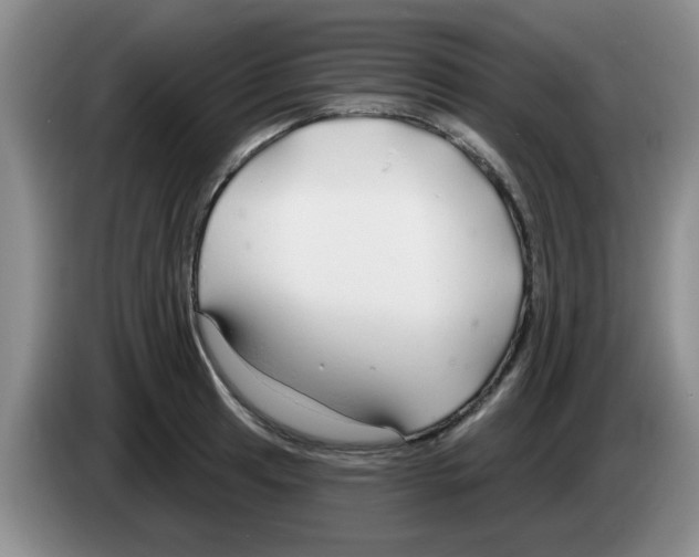 X0000083551041200703091550