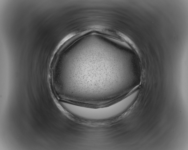 X0000083551042200703091550
