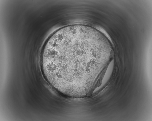 X0000083551043200703091550