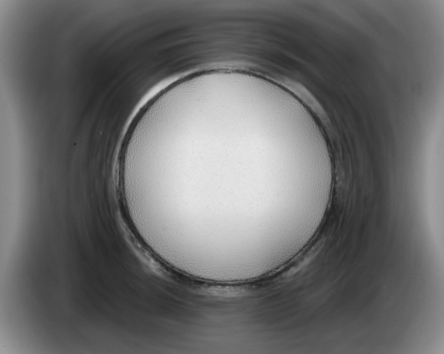 X0000083551044200703091550