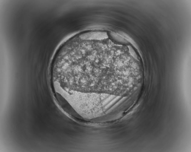 X0000083551045200703091550