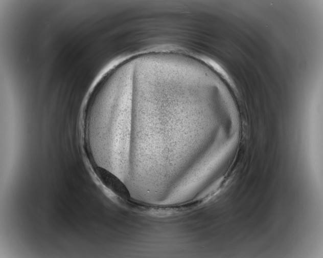 X0000083551046200703091550