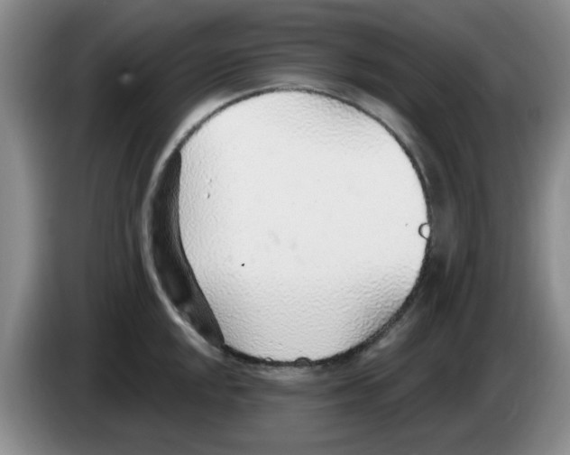 X0000083551048200703091550