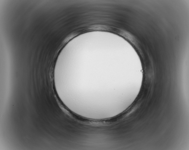 X0000083551049200703091550