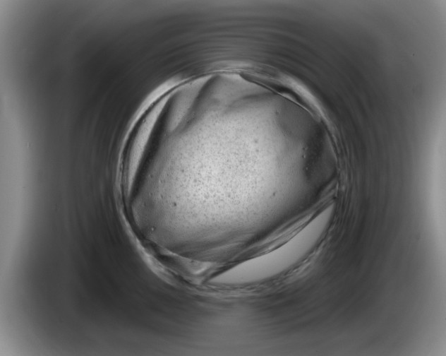 X0000083551050200703091550
