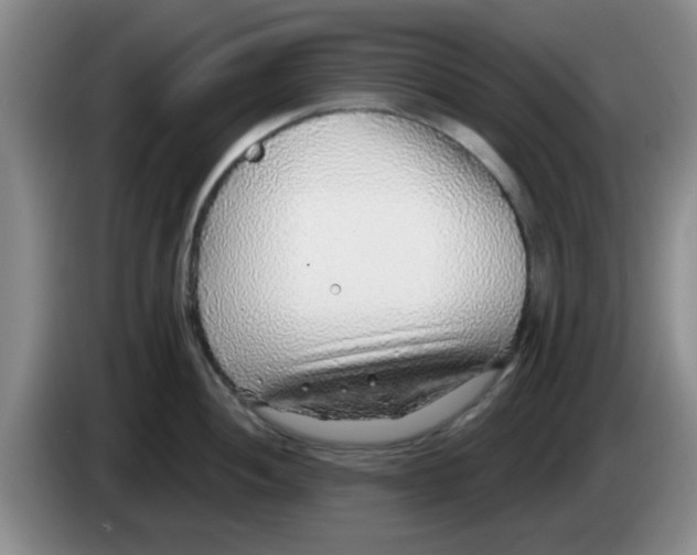 X0000083551052200703091550