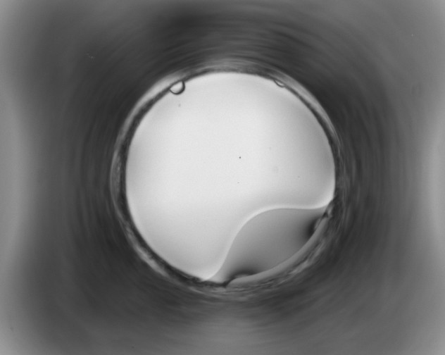 X0000083551053200703091550