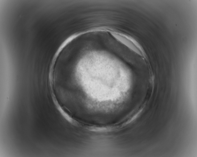 X0000083551054200703091550