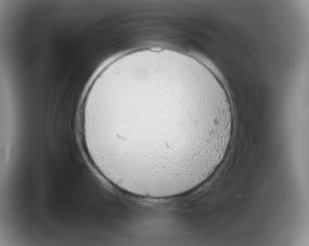X0000083551056200703091550