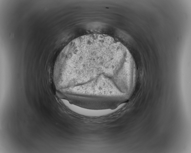 X0000083551060200703091549