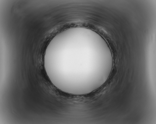 X0000083551062200703091549