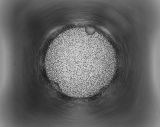 X0000083551063200703091549