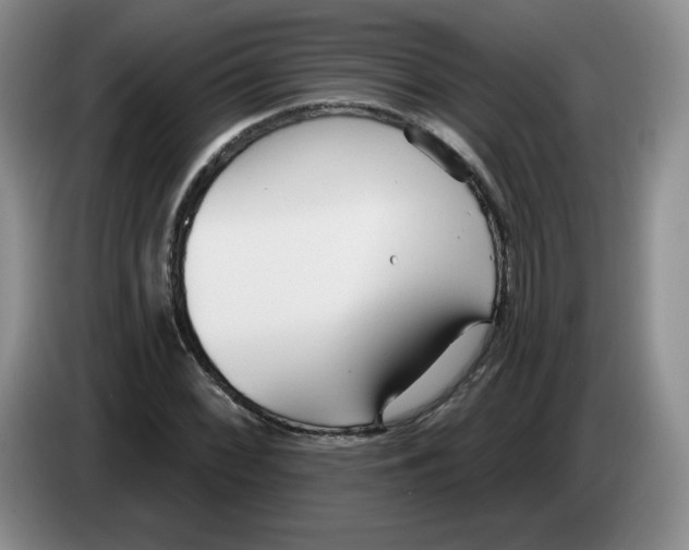 X0000083551068200703091549