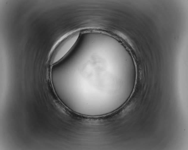 X0000083551069200703091549