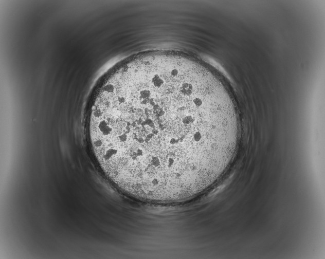 X0000083551071200703091549