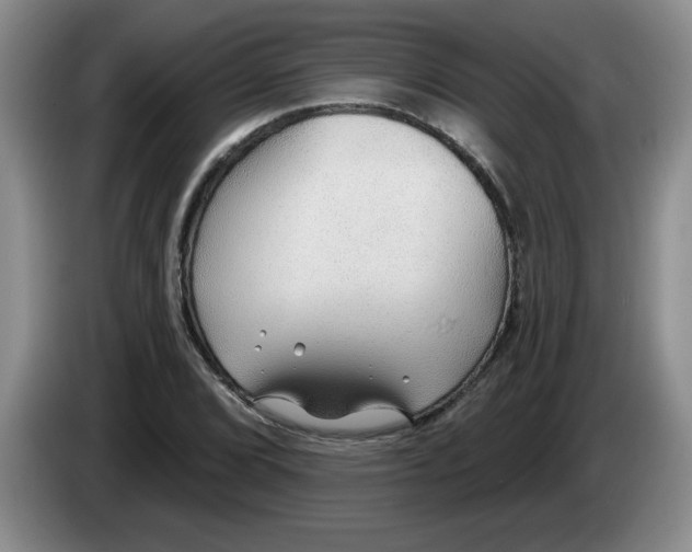 X0000083551072200703091549
