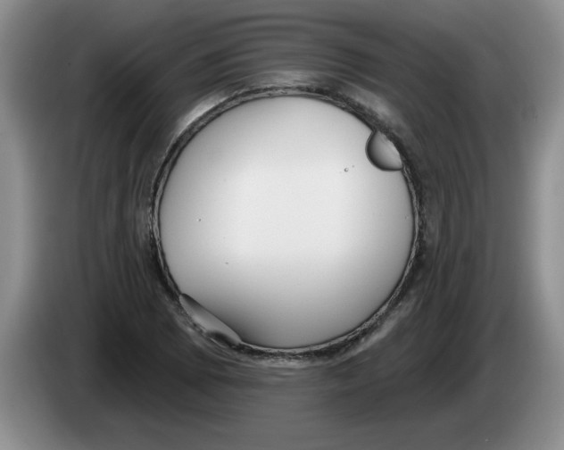 X0000083551073200703091549