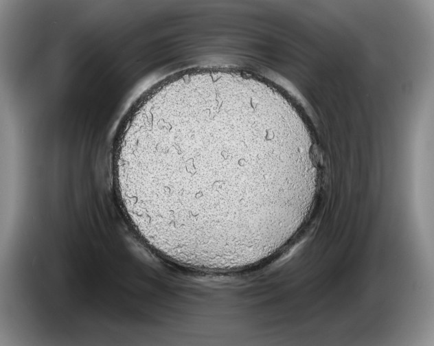 X0000083551075200703091549