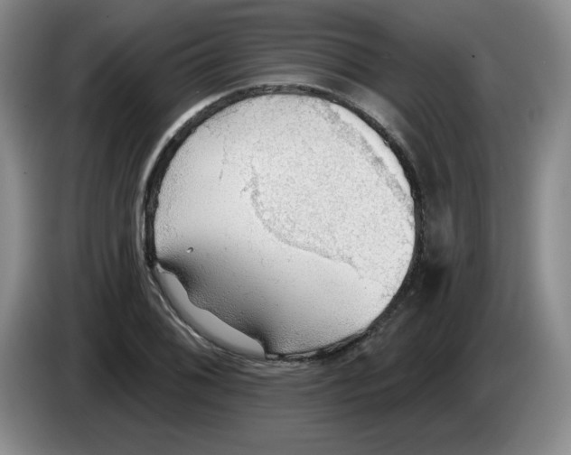 X0000083551076200703091549