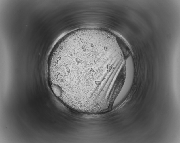 X0000083551083200703091549