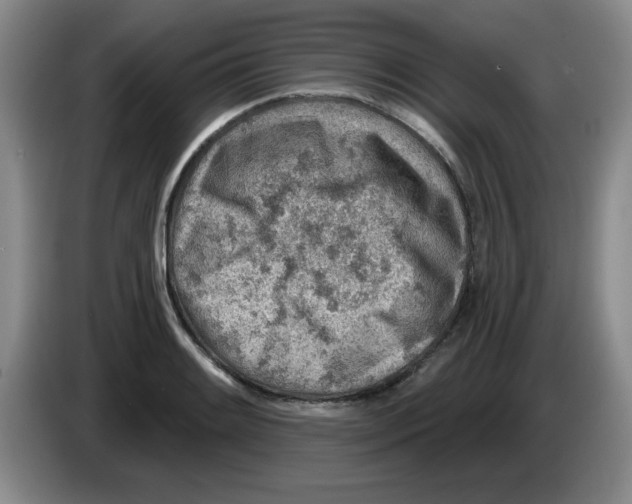 X0000083551084200703091549