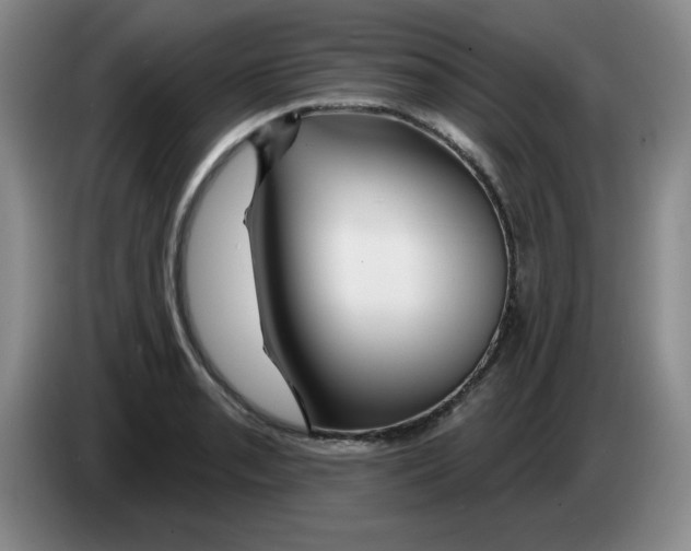X0000083551085200703091549