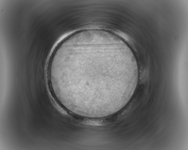 X0000083551086200703091549