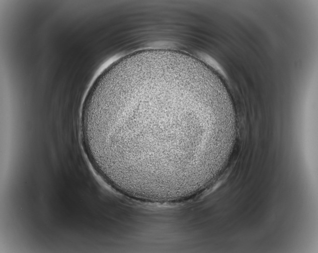 X0000083551087200703091549