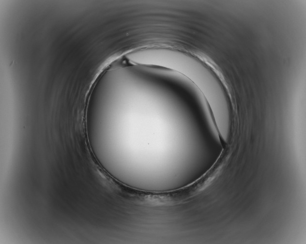 X0000083551089200703091549