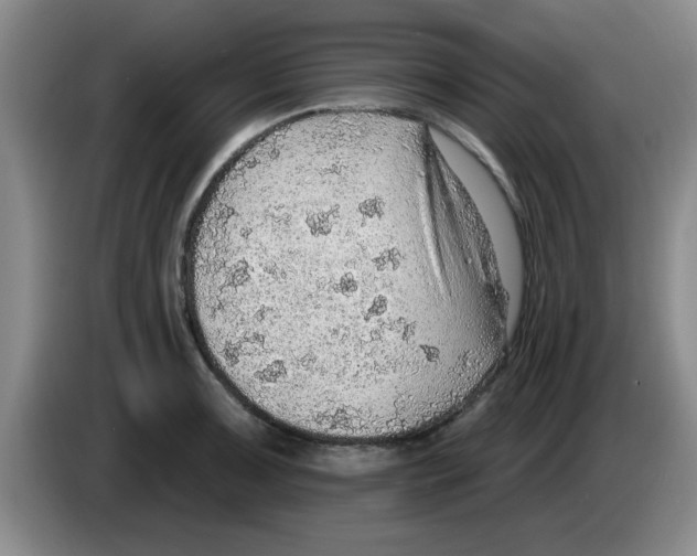 X0000083551091200703091549