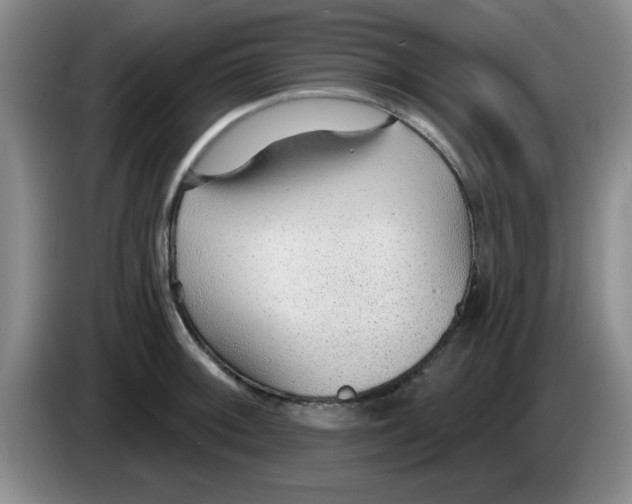 X0000083551092200703091549