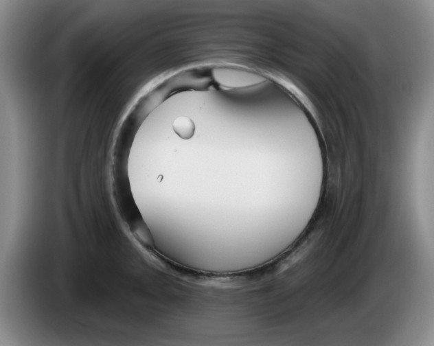 X0000083551093200703091549