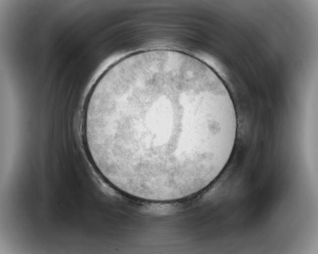 X0000083551094200703091549