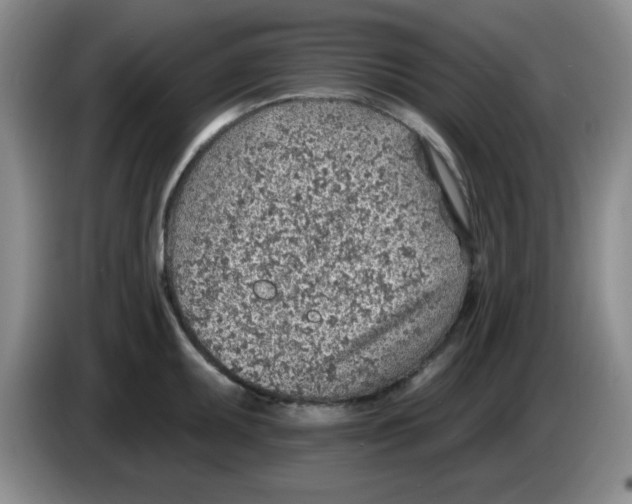 X0000083551095200703091549