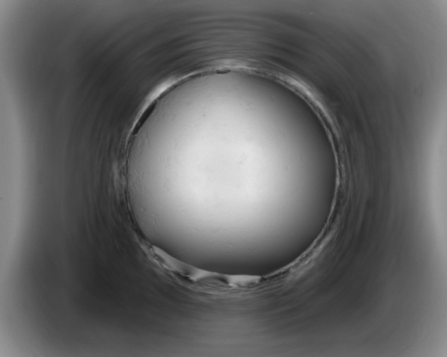 X0000083551097200703091549