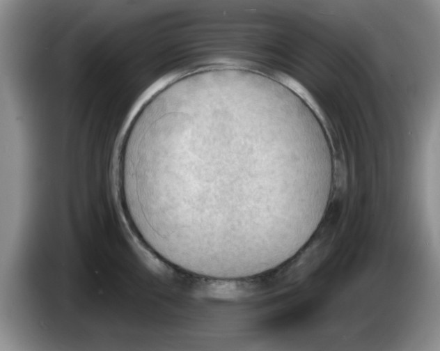 X0000083551098200703091549