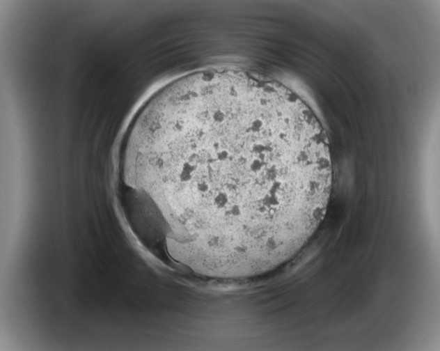 X0000083551099200703091549