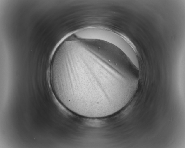 X0000083551100200703091549