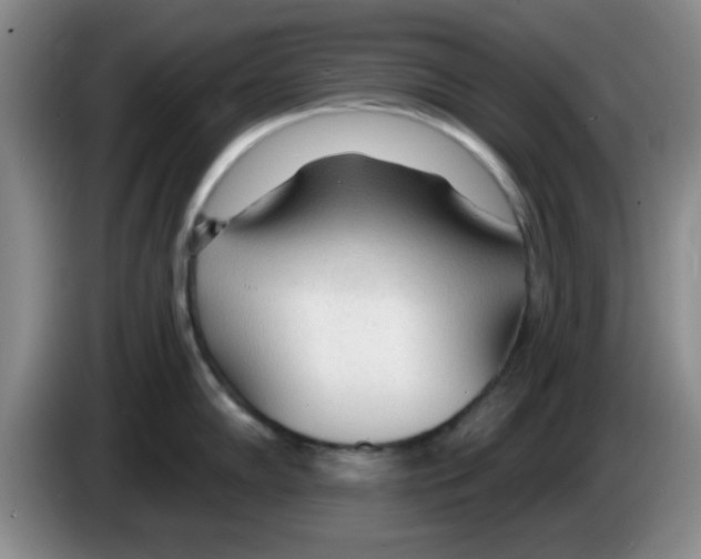 X0000083551102200703091549