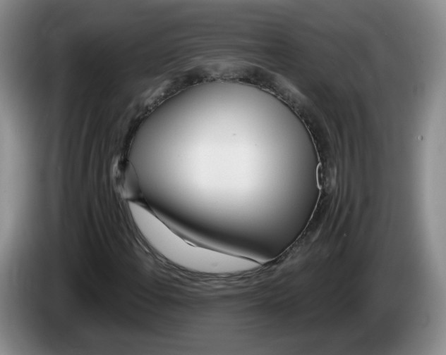 X0000083551108200703091548