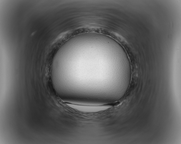 X0000083551110200703091548