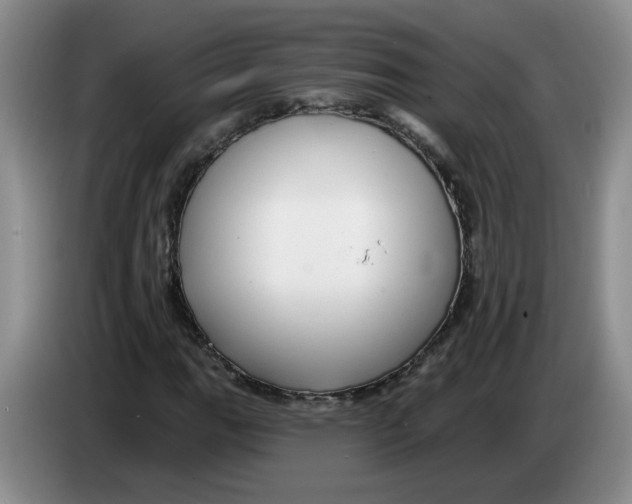 X0000083551111200703091548